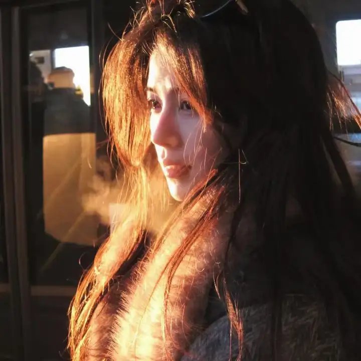 双子